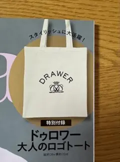 【送料無料】エクラeclat 10月号付録 DRAWER 大人のロゴトート