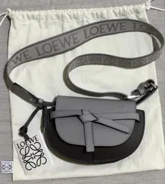 LOEWE ロエベ　ゲート デュアル ミニ バッグ 極美品のサムネイル