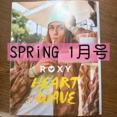 spring 1月号 雑誌 福士蒼汰 岩瀬洋志