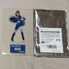 ファイターズガール 塩澤美咲 アクリルスタンド2023 AOAO