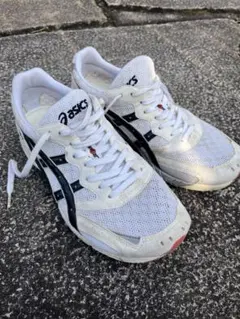 Item thumbnail for item 818bcc65-6ea9-4601-a85e-709506202699