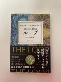 【新品・未開封・レア】　ブッダとイエスの魔法のループ　丸山修寛 新品・未開封・レア】 ブッダとイエスの魔法のループ 丸山修寛