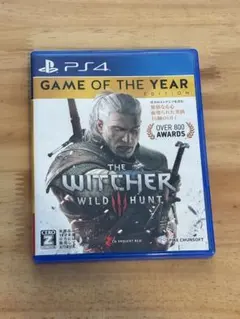 THE WITCHER WILD HUNT