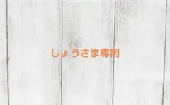 【しょうさま専用】 花苗 2ポットのサムネイル