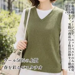 極美品★韓国ブランド WalkingTree ウール混 ニットベスト ピスタチオ