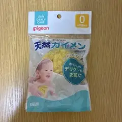 pigeon 海綿