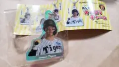 森下 阪神タイガース めじるしオーロラチャーム