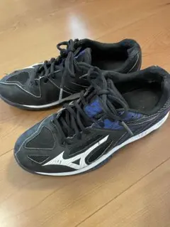 ミズノ　スポーツ体育館シューズ　24.5㎝