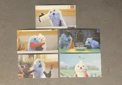 【5枚セット】パペットスンスンお台場ポップアップ　オリジナルシール