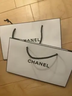 CHANEL ショップ袋 2枚セット