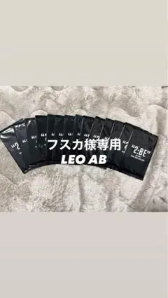 フスカ様専用　LEO AB