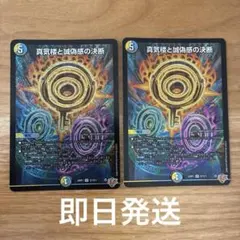 パーフェクトペテンシー　蜃気楼と誠偽感の決断 蜃気楼と誠偽感の決断 パーフェクトペテンシー - メルカリ