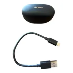 SONY WF-1000XM5 ワイヤレスイヤホン ブラック 充電ケース付き