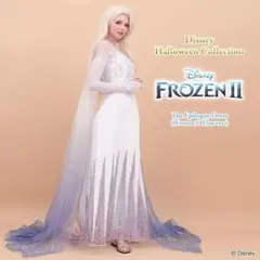 アナ雪 仮装 精霊 エルサ シークレットハニー 大人 ドレス 衣装 dハロ