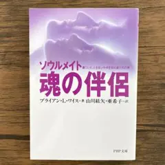 魂の伴侶―ソウルメイト 傷ついた人生をいやす生まれ変わりの旅