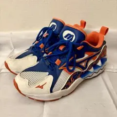 ミズノ / WAVE RIDER 1