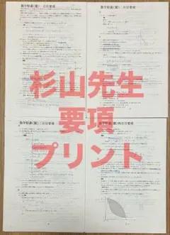 駿台　数学特講Ⅲ杉山先生要項プリント　鉄緑会SEG河合塾Z会東大京大