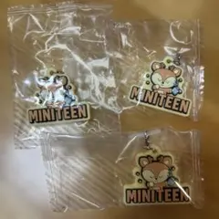 MINITEEN めじるしアクセサリーガチャ　ジョシュア　３個