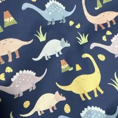 デコレクションズ　布 入園入学 ≪ グッドディーノ ≫ 防水コットン　ネイビー