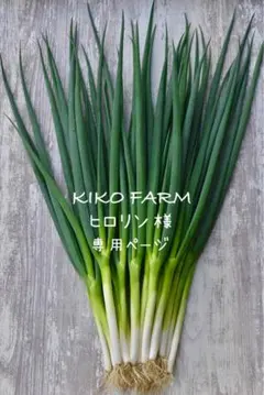 〝ヒロリン様〟専用ページです:*:・(*´ω`pYq゛