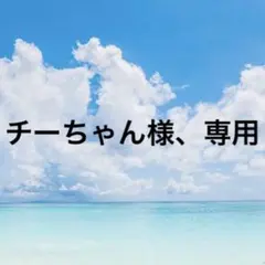 チーちゃん様、専用
