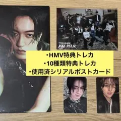 TREASURE LOVE PULSE ハルト