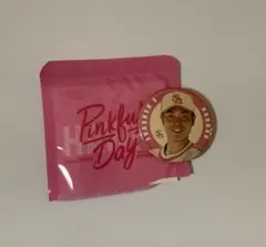 ソフトバンクホークス 中村晃ピンクフルデータカポイント缶バッジ