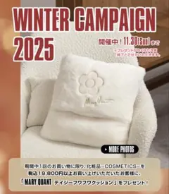 【新品・未開封】2025 MARY QUANT デイジーフワフワクッション