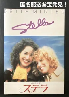 廃盤・希少品】ステラ Stella DVD ベット・ミドラー パンフレット付