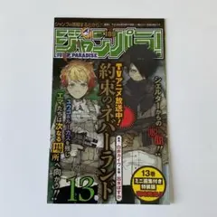 匿名発送】ジャンパラ！vol.189 チェンソーマン1巻他封入チラシ 3枚
