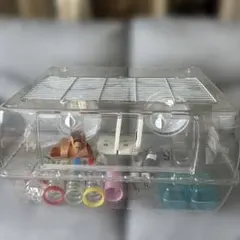 Item thumbnail for item bff3212d-c67e-481c-961a-d280d8f2092e