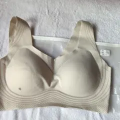 Item thumbnail for item 00f69734-ccc3-4440-83c6-19e4341a44ff