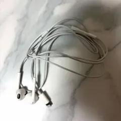 lightning 有線イヤホン 純正