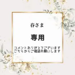 春様　おまとめ3点【A21.AY53.34】