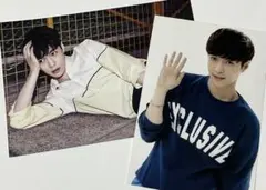 EXOレイ(张艺兴)20枚セット 新品未開封 EXO レイ 中国限定 Sheep 音悦台トレカ 张艺兴 lay