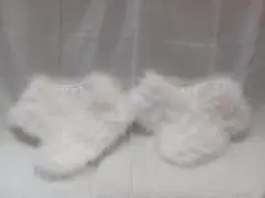 Item thumbnail for item 785f38f4-abd2-49e8-89de-bb077c19b8c2