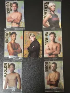 RIZINウエハースカード 7枚セット  平本蓮選手