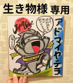 ジャパンカップ【アドマイヤテラ】ミニキャラ♪競走馬色紙イラスト♪競馬絵画(^^)