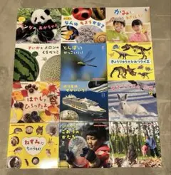 2026年最新】サンチャイルド・ビッグサイエンスの人気アイテム - メルカリ