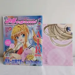 【付録特大ポスター付き】メガミマガジン2005年3月号Vol.58