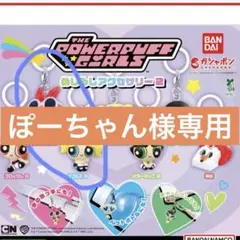 パワーパフガールズ めじるしアクセサリーセット
