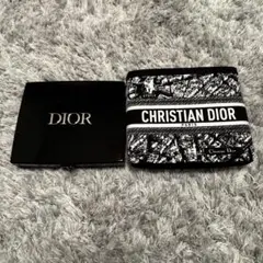 ディオールショウ サンククルール 983