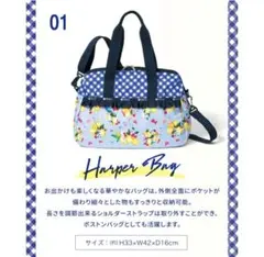 Chesty レスポコラボ　ボストンバック