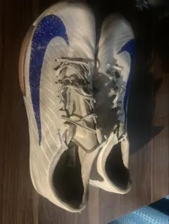 マックスフライ2 28センチ