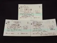 の*3様 使用済み切符　JR西日本 本日の使用切符：JR西日本 出雲三成駅発行 かいじ15号 新宿▶︎八王子