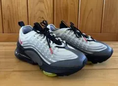 超美品】箱無しお買い得品NIKE AIR MAX ZM950 NRG 28cm - メルカリ