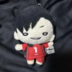 ハイキュー!! にとたん ボールチェーン付ぬいぐるみ 山口忠 にとたん ハイキュー！！ ボールチェーン付ぬいぐるみ 山口