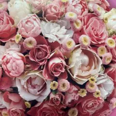 2025年最新】アイレディースエモリエントクリームの人気アイテム