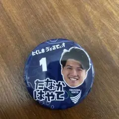 徳島ヴォルティス　1.田中颯　ひらがな缶バッジ
