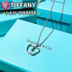 ティファニー✨アップル✨ネックレス シルバー✨純正チェーン✨ペンダント✨y2kのサムネイル